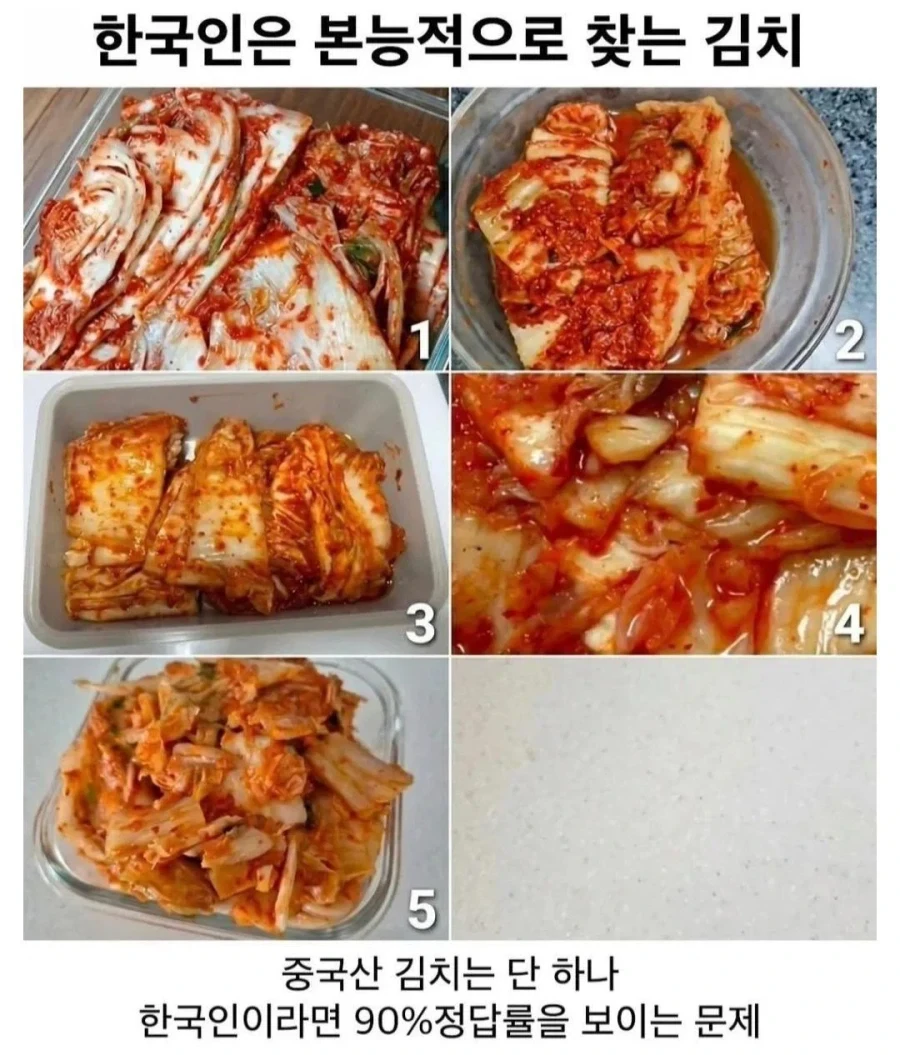 한국인은 본능으로 찾는 김치.jpe_1.webp