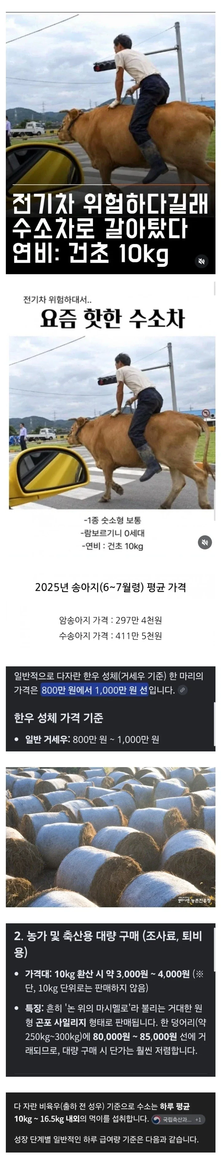 하루 연료비 4500원, 1000만원 가격 수소차_1.webp