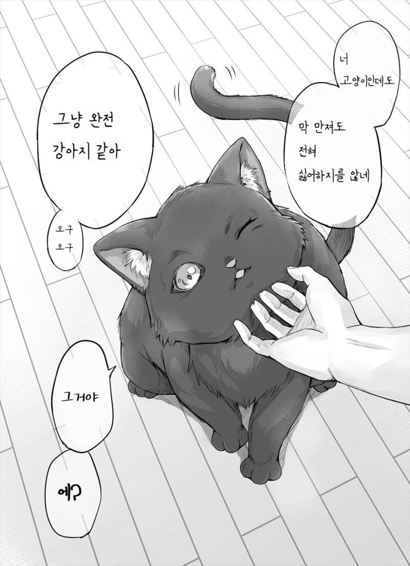 manga_68962127_003.webp