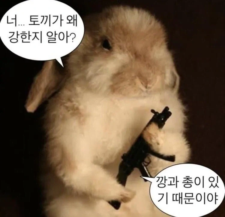 포유류 최강 생물은 토끼_1.webp