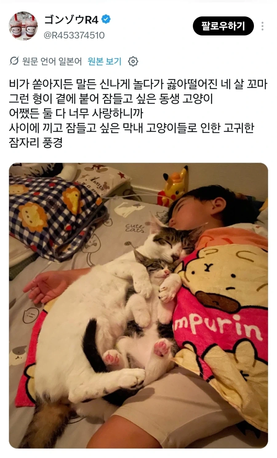 같이 자는 고양이와 아이.jpg_1.webp