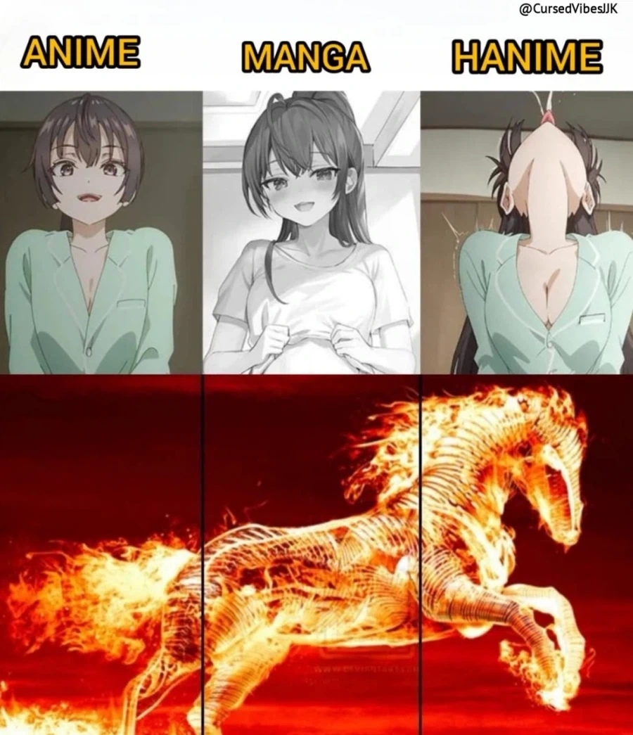 애니 vs 코믹스 vs H anime.jpg_1.webp