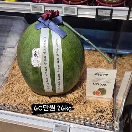 중국인의 수박론 뭔가 꼴리지 않냐_1.webp