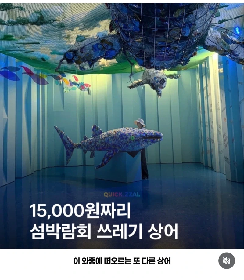 비교되는 상어 두 마리_2.webp