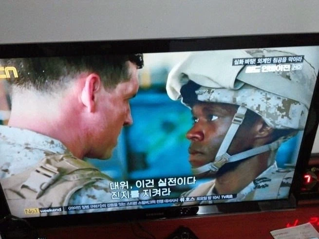 실화를 바탕으로 찍은 영화 甲.jpg_1.webp