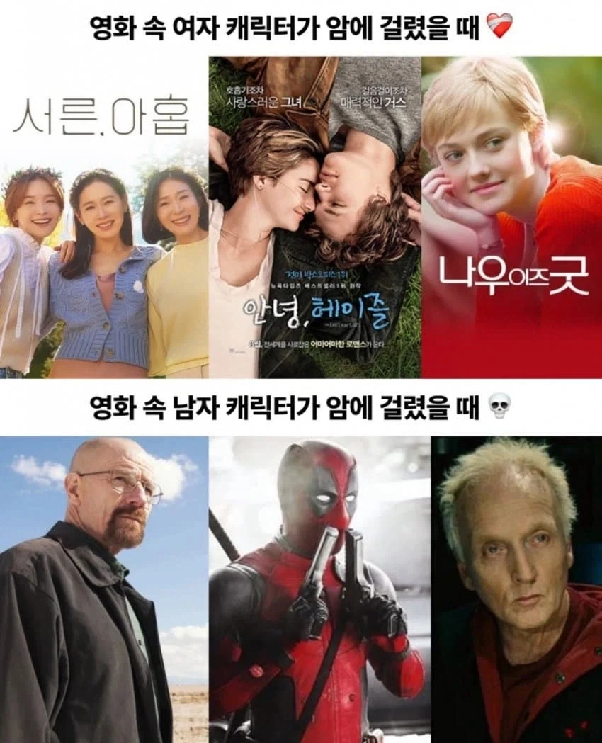 남녀가 암 걸렸을떄 차이점 ㄷㄷㄷ_1.webp