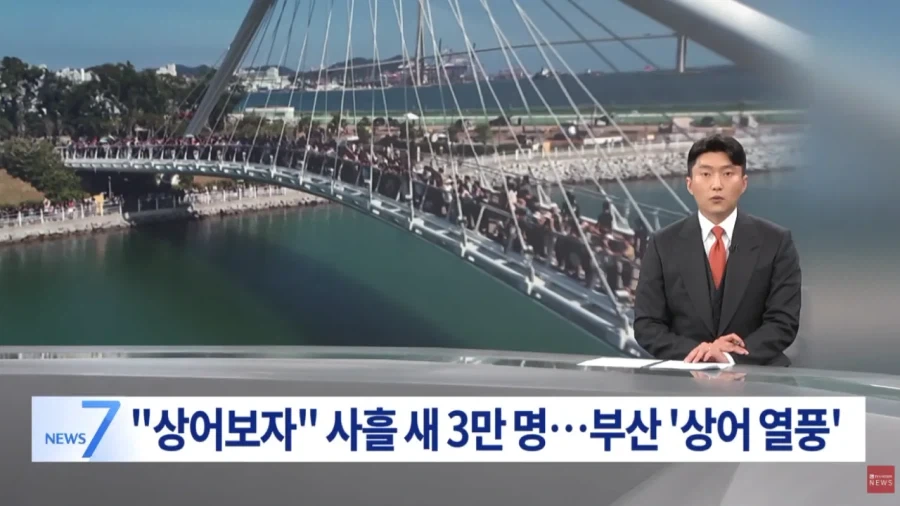 부산 상어 보려고 온 사람들 3일만에 3만명 몰렸다_1.webp