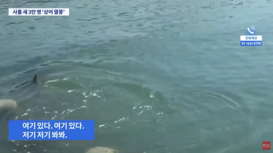 부산 상어 보려고 온 사람들 3일만에 3만명 몰렸다_2.webp