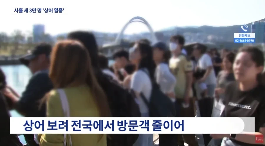 부산 상어 보려고 온 사람들 3일만에 3만명 몰렸다_3.webp