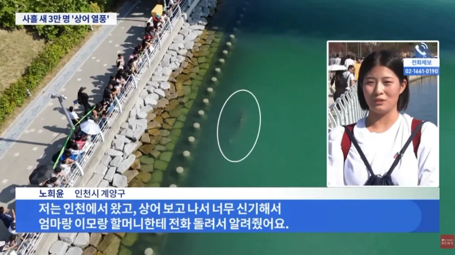부산 상어 보려고 온 사람들 3일만에 3만명 몰렸다_4.webp
