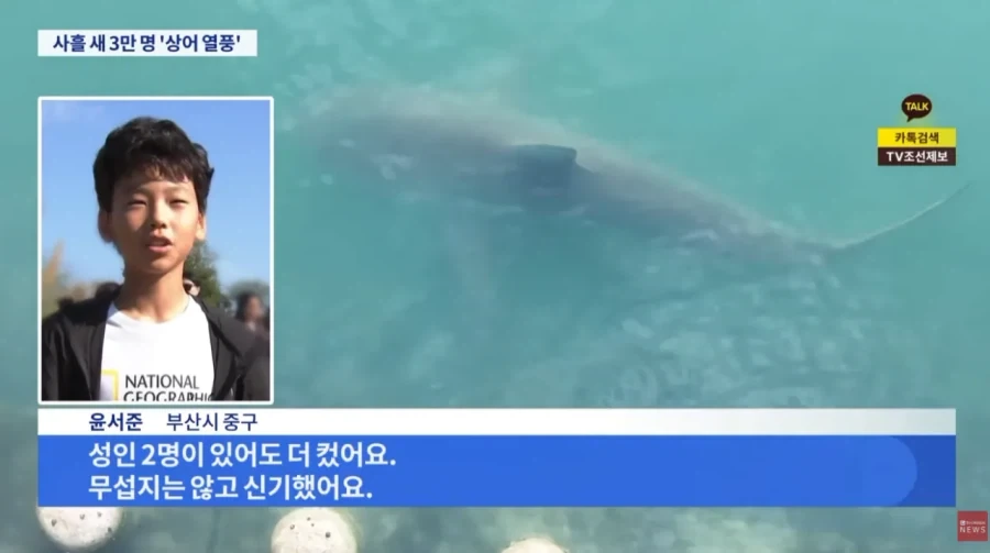 부산 상어 보려고 온 사람들 3일만에 3만명 몰렸다_5.webp