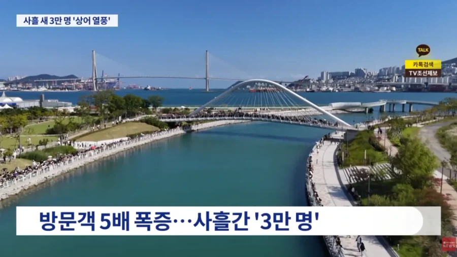 부산 상어 보려고 온 사람들 3일만에 3만명 몰렸다_6.webp