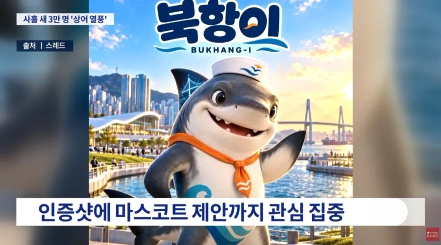 부산 상어 보려고 온 사람들 3일만에 3만명 몰렸다_7.webp