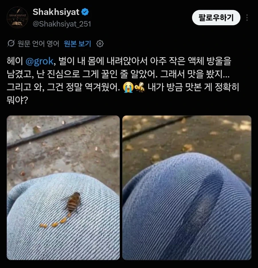 꿀벌 똥 먹었다는사람_1.webp