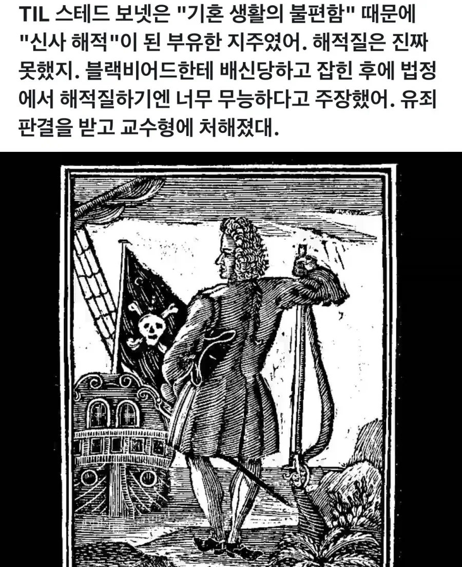 마누라 잔소리때문에 해적이 된 사람.jpg_7.webp