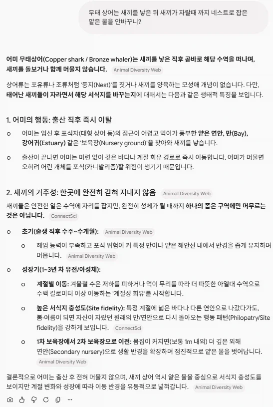 부산 북항 무태상어의 정체_1.webp