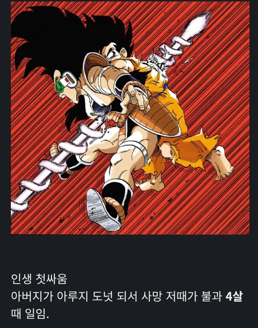 드래곤볼)손오반이 싸움을 싫어하는 이유_3.webp