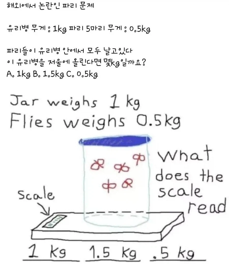 재미있는 물리학 문제_1.webp