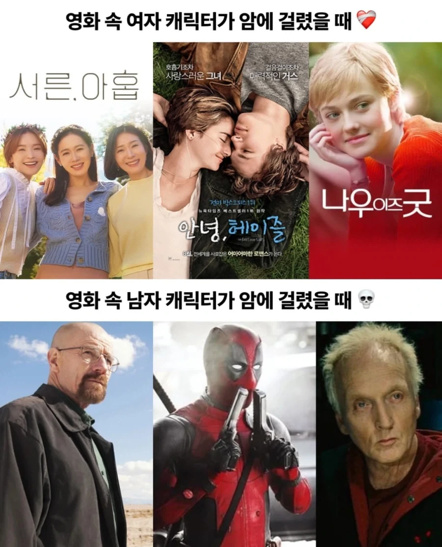 영화 속 암을 대하는 남녀 캐릭터들의 차이.jpg_1.webp