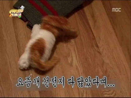 오디세이)무한도전으로 보는 오디세이_13.webp