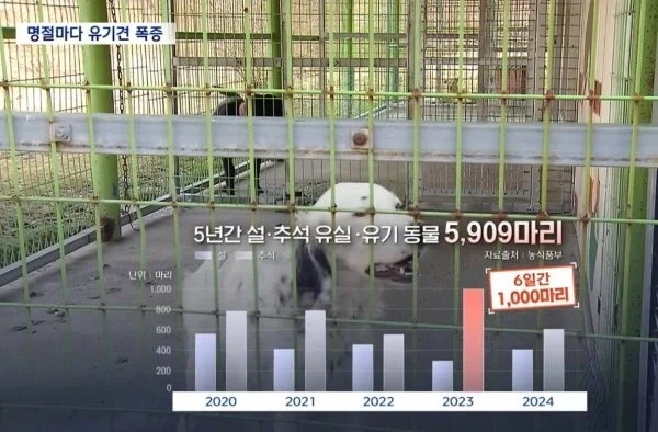 조만간 많이 올라올 뉴스_1.webp