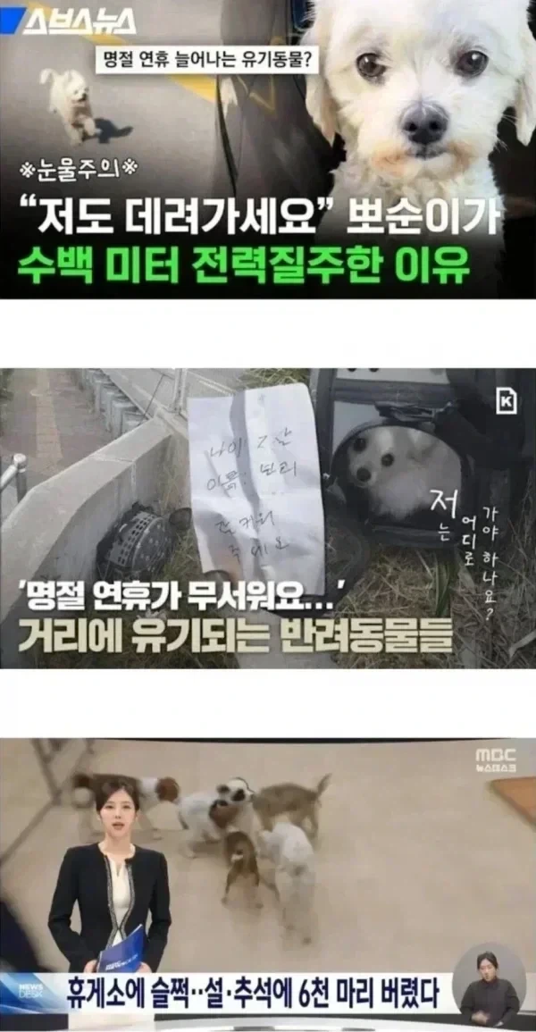 조만간 많이 올라올 뉴스_2.webp