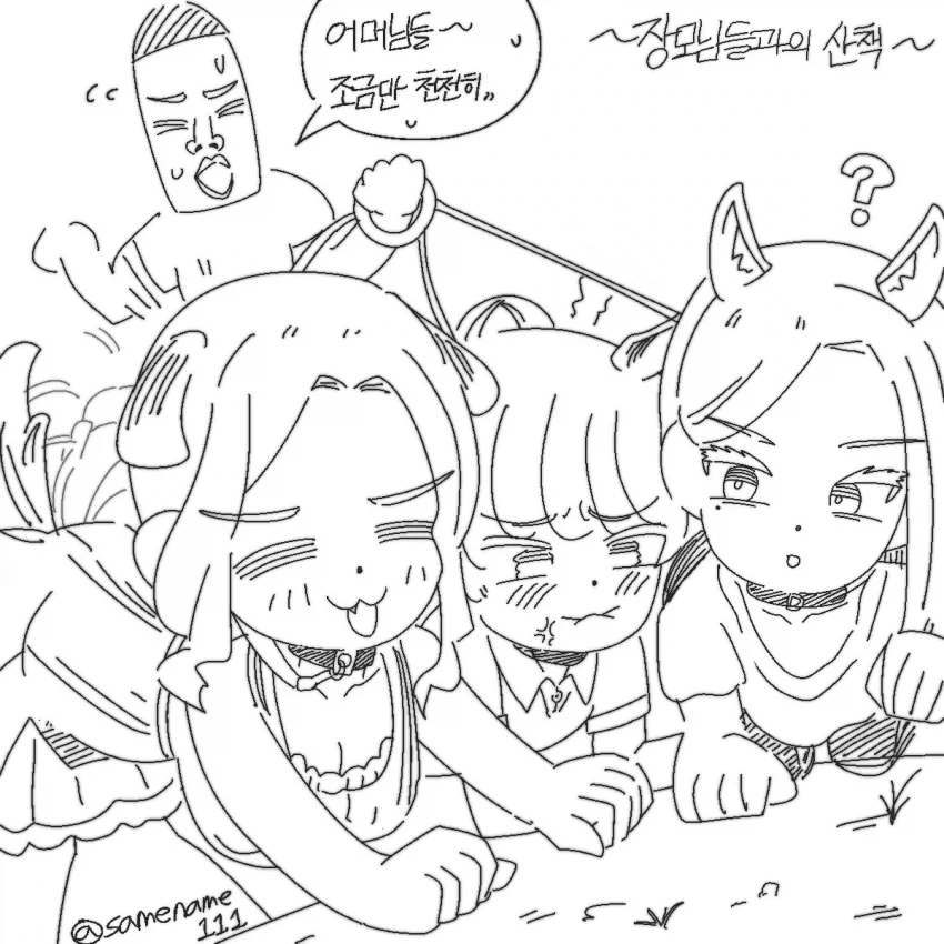 단모종과 장모종의 차이_4.webp