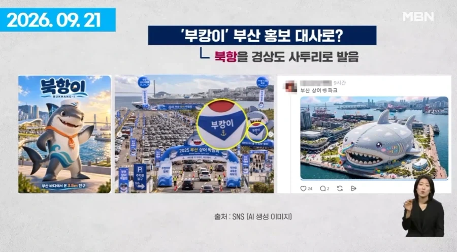 여수섬박람회 부산 상어에 N번째 사망.jpg_2.webp
