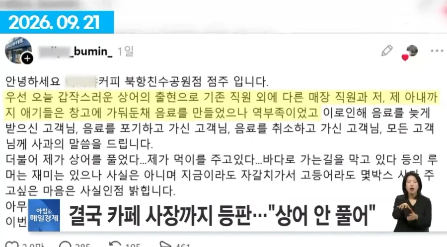 여수섬박람회 부산 상어에 N번째 사망.jpg_4.webp