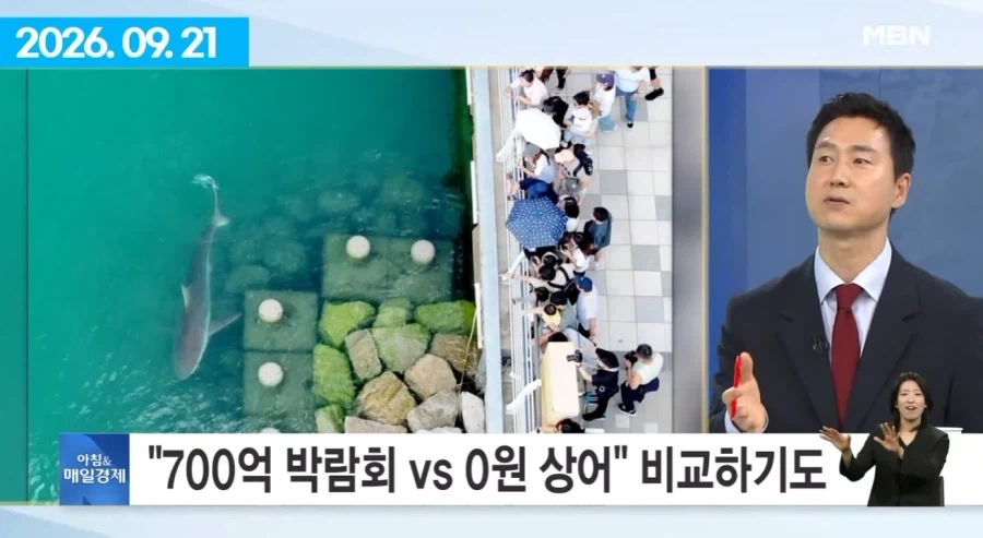 여수섬박람회 부산 상어에 N번째 사망.jpg_5.webp