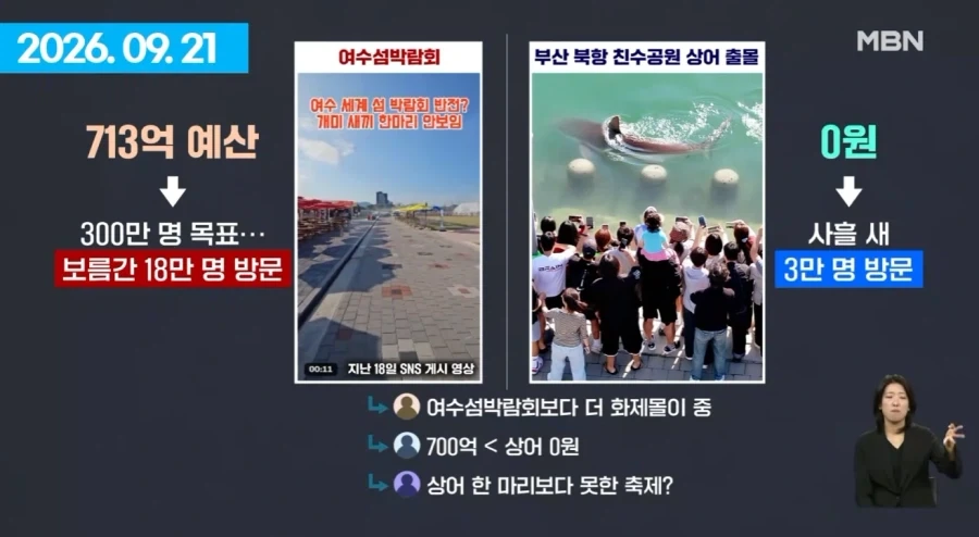 여수섬박람회 부산 상어에 N번째 사망.jpg_6.webp