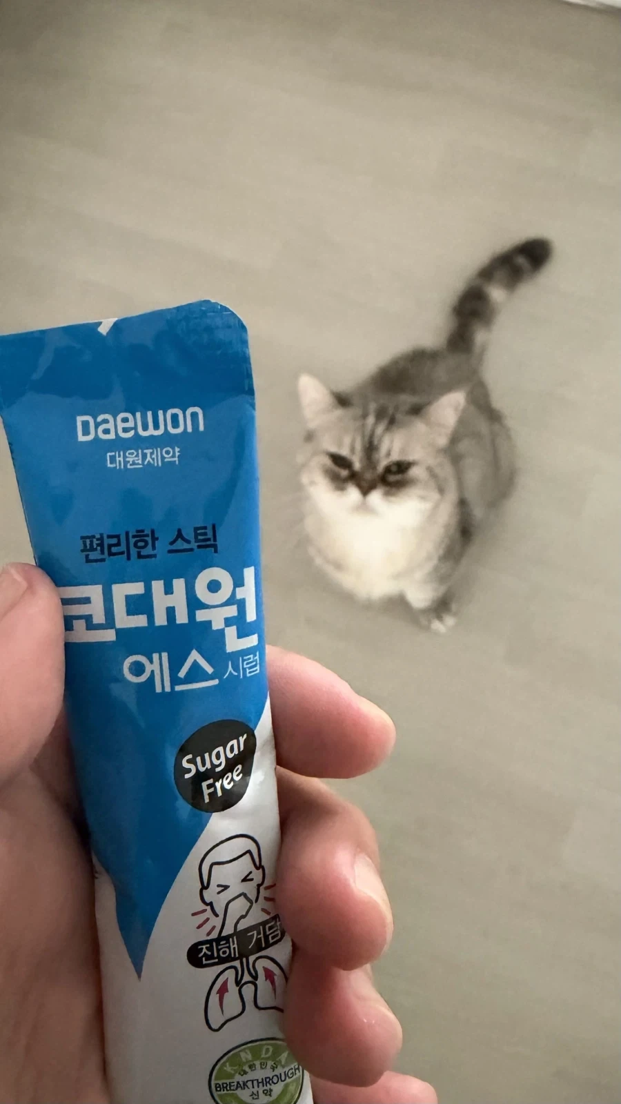 츄르인지 의심하는 고양이_1.webp