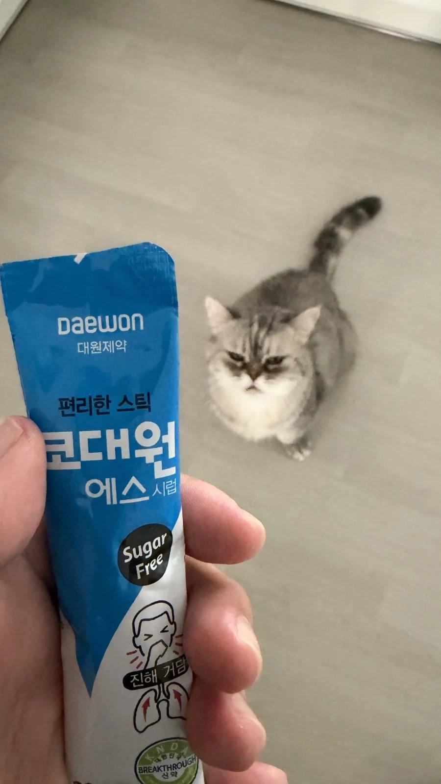 츄르인지 의심하는 고양이_2.webp