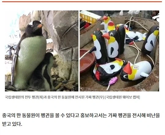 그저 10년 빨랐을 뿐인 동물원_1.webp