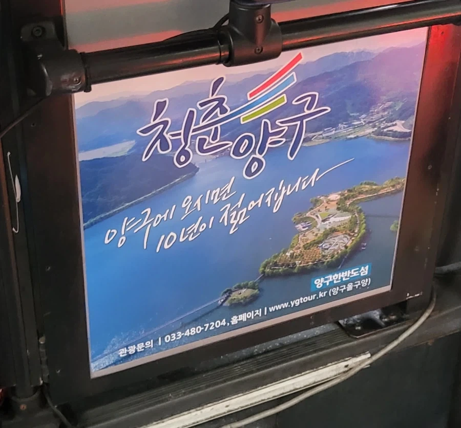 양구군의 허위과장광고_1.webp