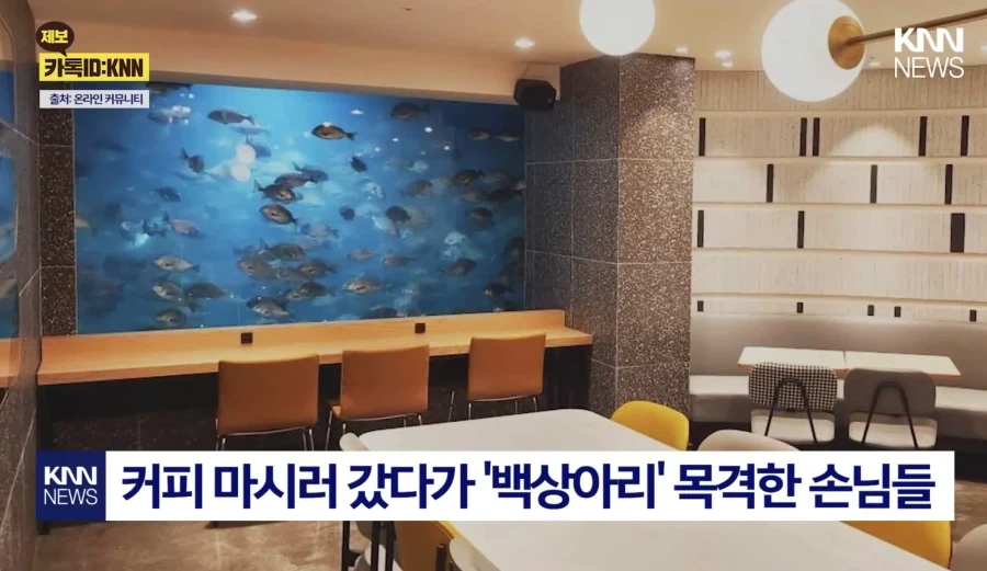 상어가 있으면 커피집이 흥한다고?!!_1.webp