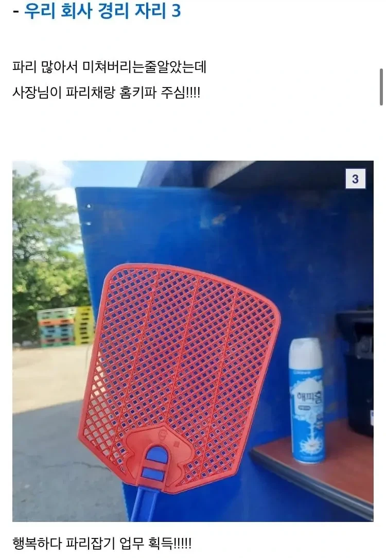중소기업 갤러리 역대급 경리 자리_4.webp