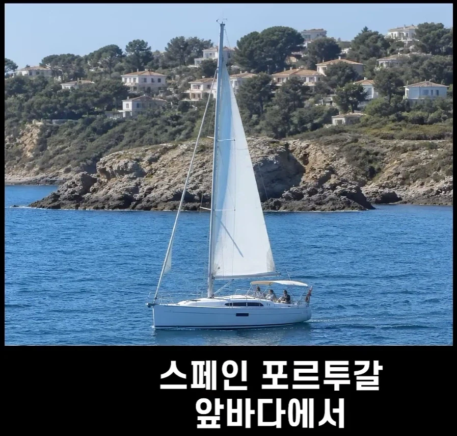 범고래가 사람을 공격하는 사례가 부쩍 늘어난 이유_2.webp