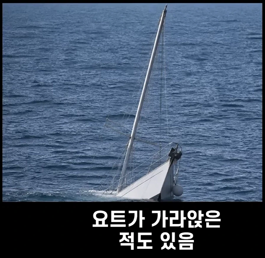 범고래가 사람을 공격하는 사례가 부쩍 늘어난 이유_5.webp