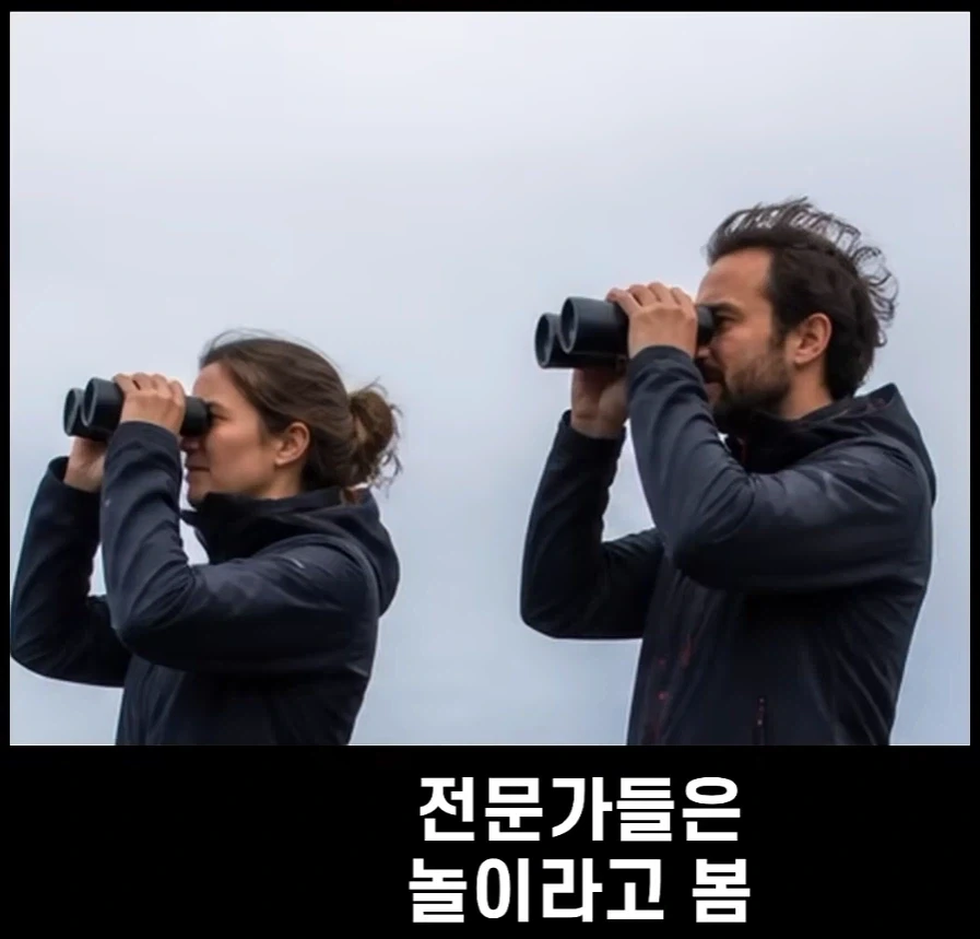 범고래가 사람을 공격하는 사례가 부쩍 늘어난 이유_7.webp