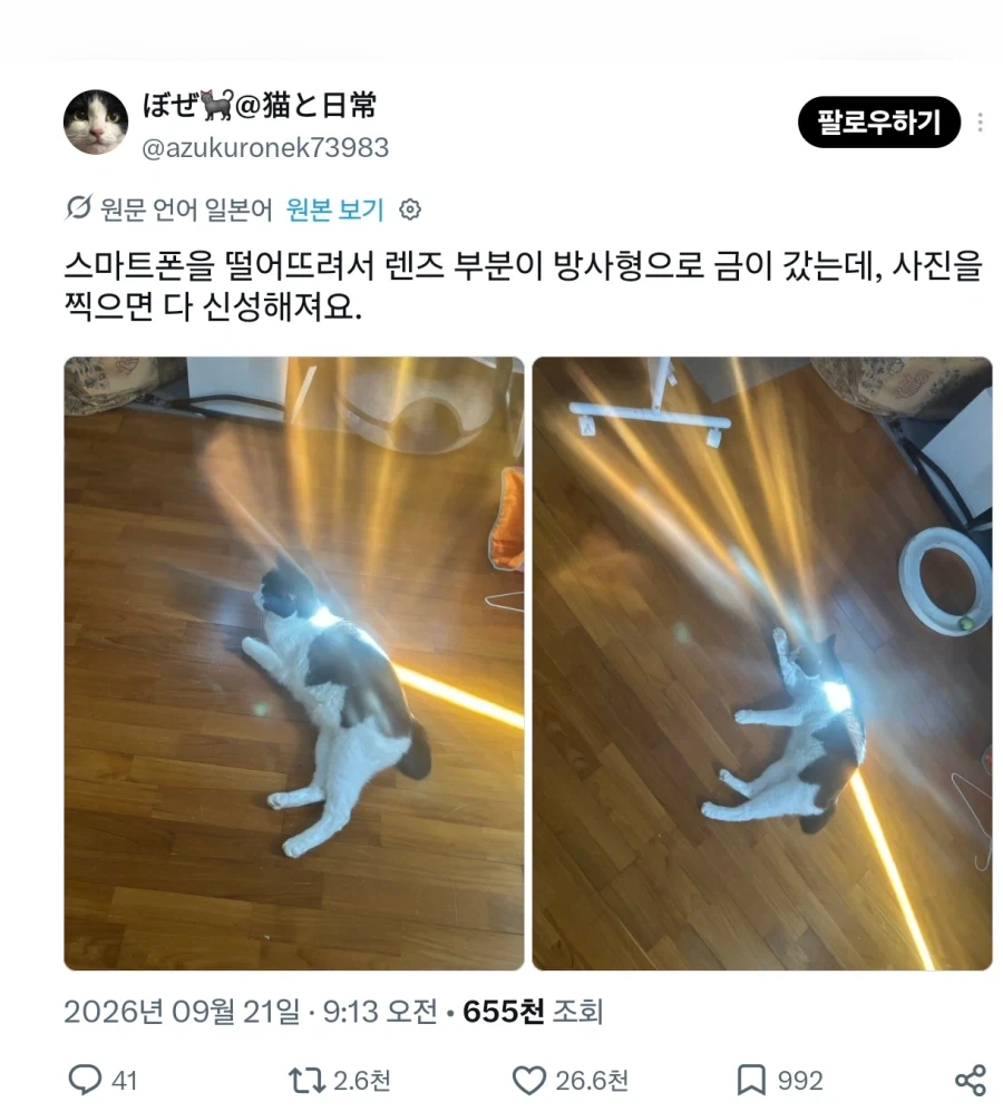 고양이는 프리즘이다_1.webp