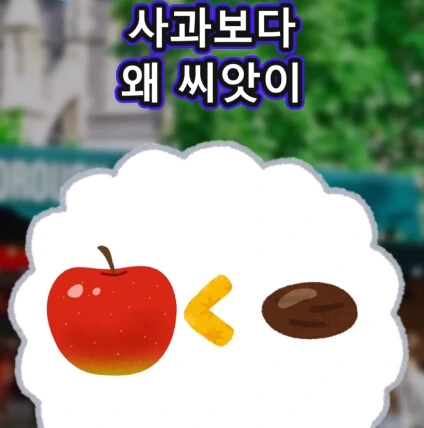 머리가 좋아지는 사과 씨앗_7.png