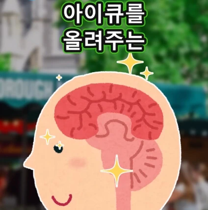 머리가 좋아지는 사과 씨앗_12.jpg