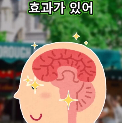 머리가 좋아지는 사과 씨앗_13.jpg