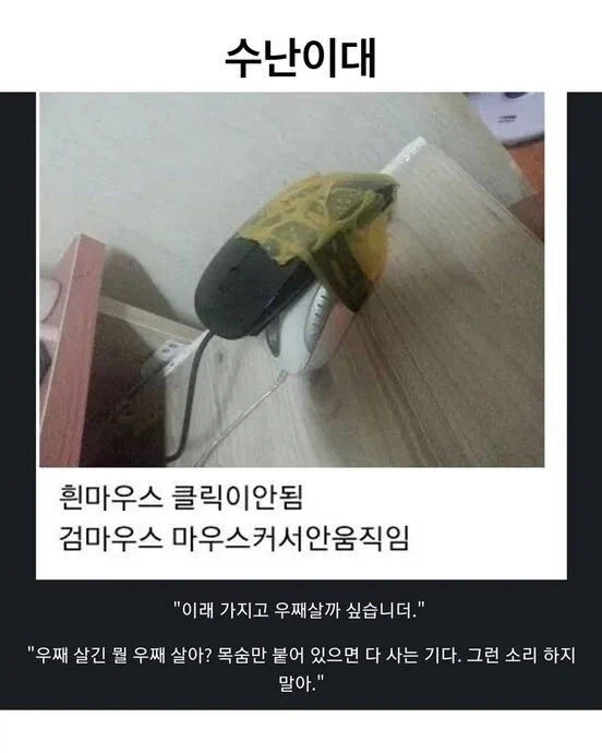 현대식 수난이대_1.webp