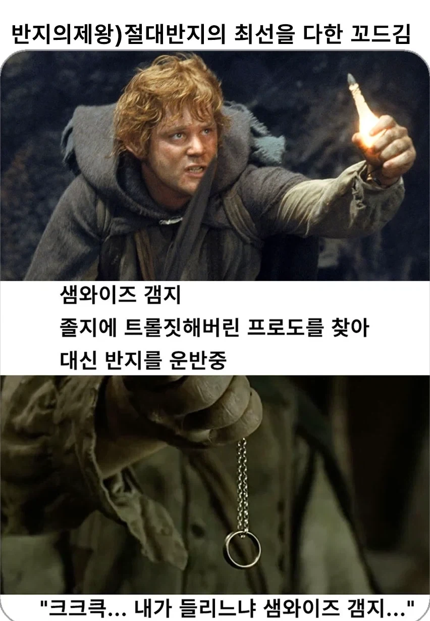 반지의제왕)샘와이즈의 대단함_1.webp