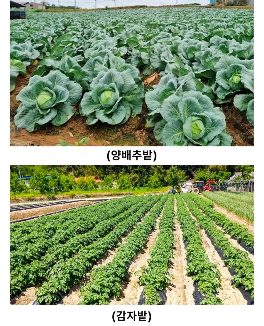 반지의제왕)샘와이즈의 대단함_4.webp