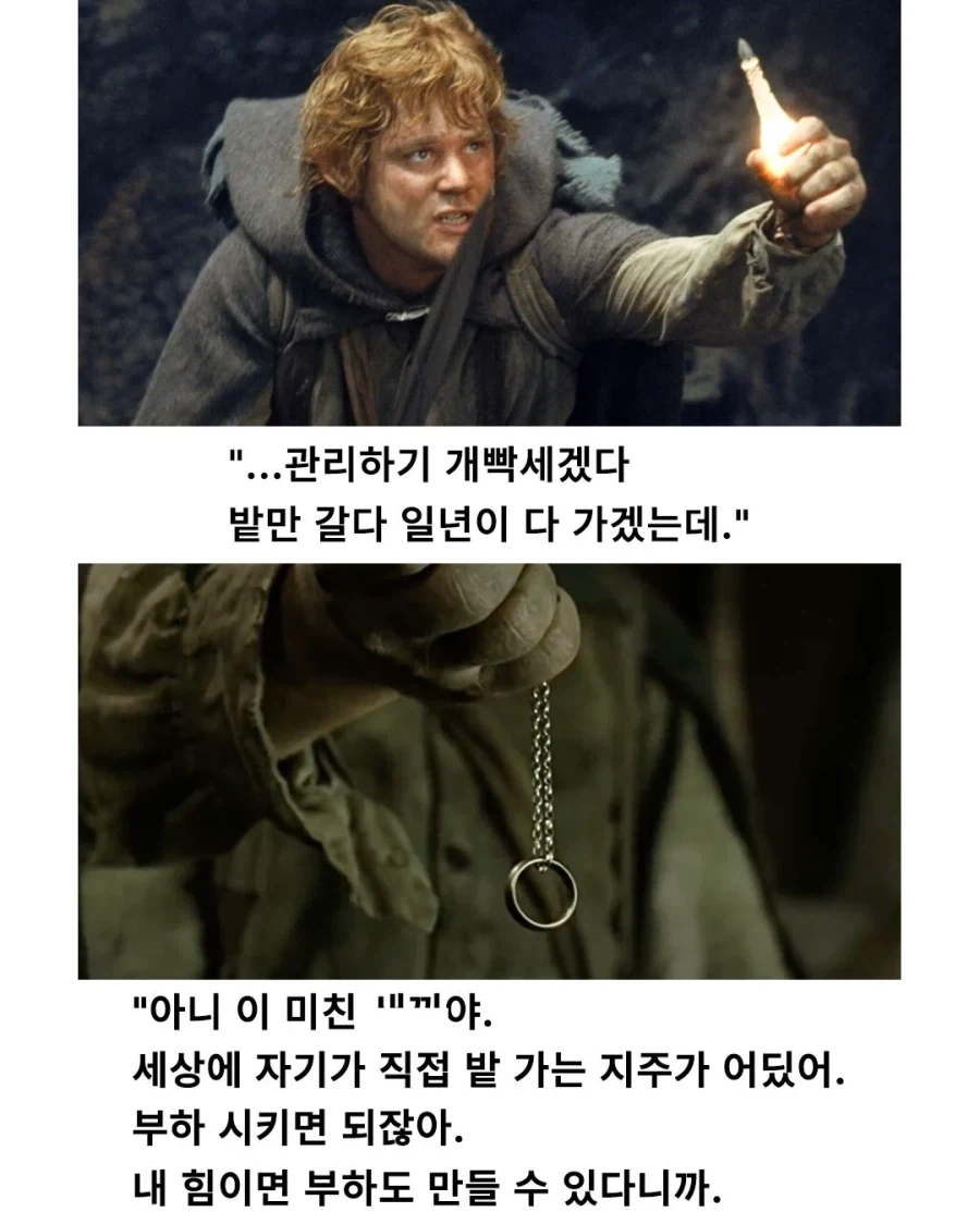 반지의제왕)샘와이즈의 대단함_7.webp