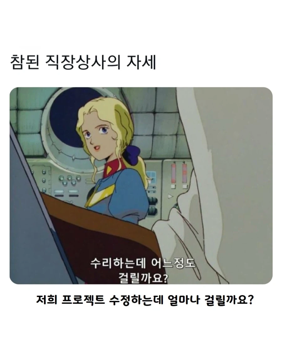 참된 직장 상사 네모선장_2.webp