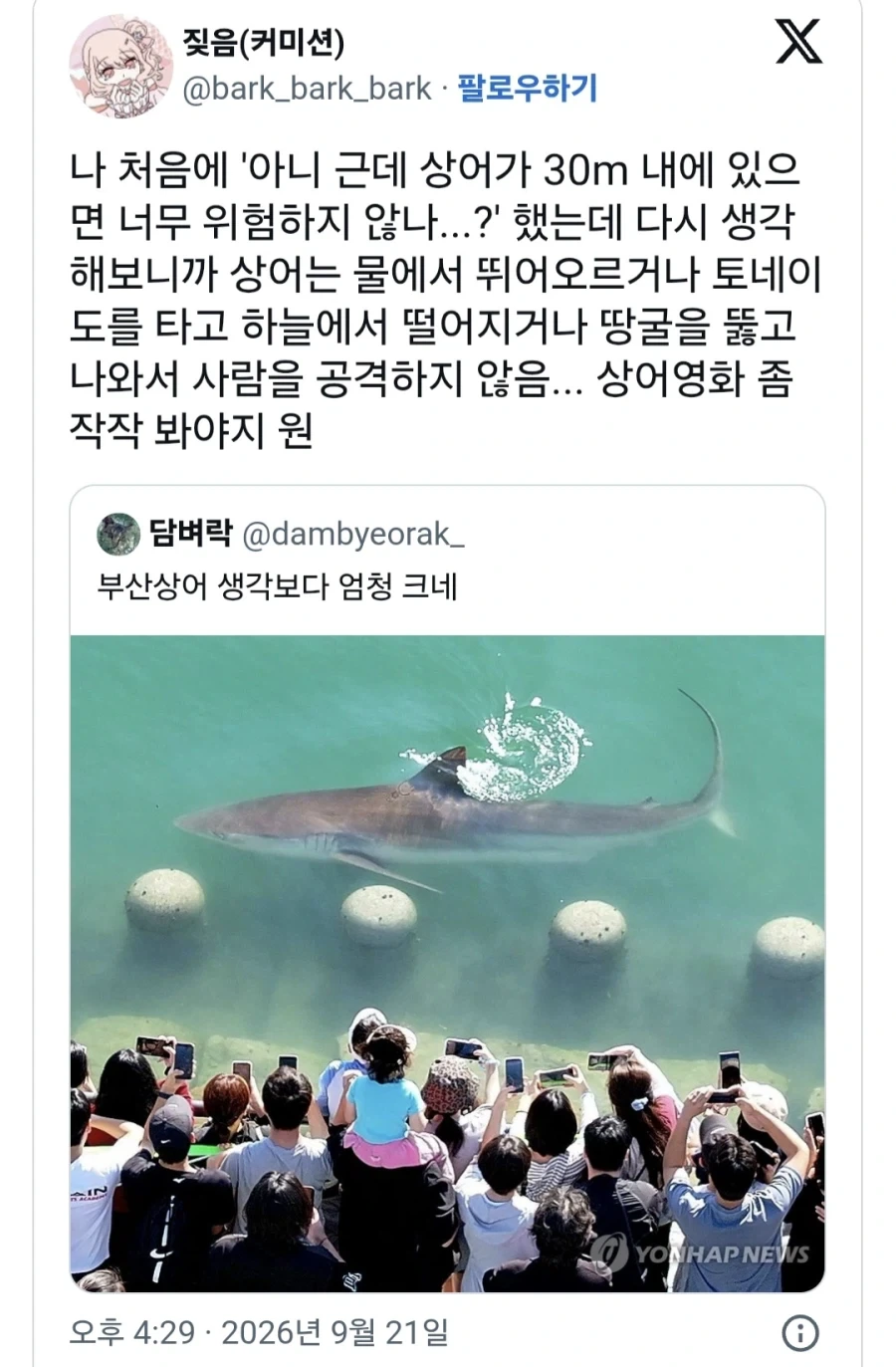 상어가 30m안에 있으면 위험하지 않나.jpg_1.webp